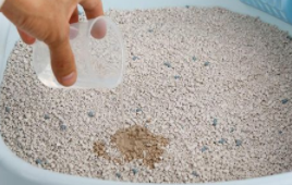 用过的猫砂是什么垃圾？猫砂多久换一次？